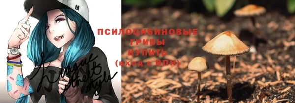 spice Бронницы