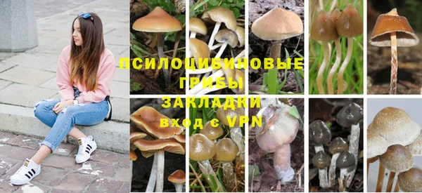 spice Бронницы