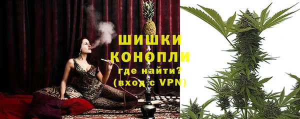 мет Бородино
