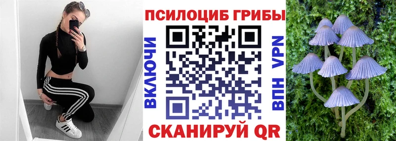 купить   Тольятти  Галлюциногенные грибы MAGIC MUSHROOMS 